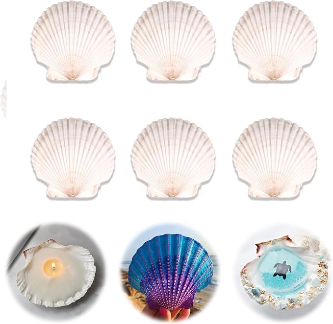 6PCS Scallop Shells for Crafts 4''-5'' Natural White Large Shells Decoration by PremiumYardSignsJoyfulPartyEssentialsForEverysingleHome