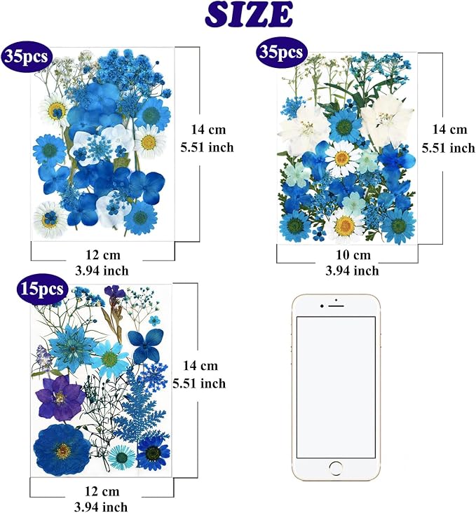 85 Pcs Blue Pressed Dried Flowers - Image 5