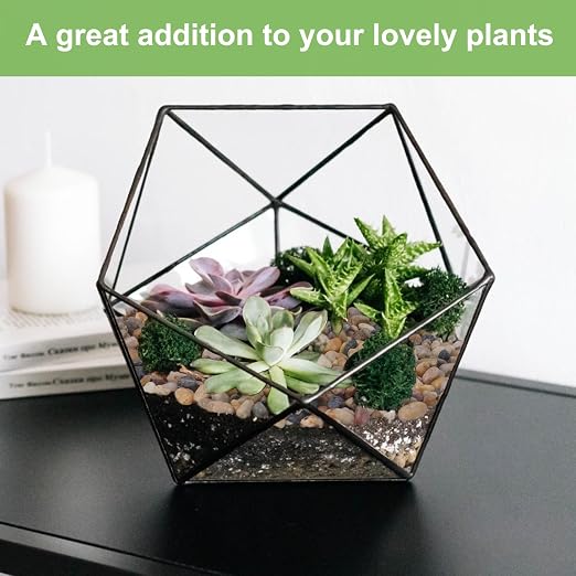 Pulovin 2.5 lbs Drainage Rocks for Potted Plants, 1/5 Inch Small Pebbles for - Image 5