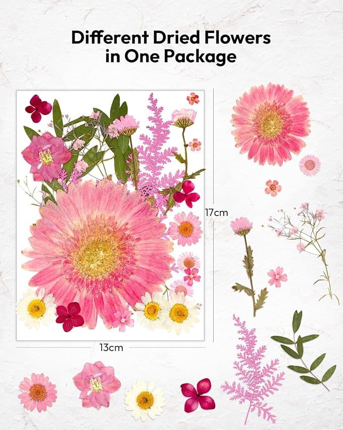 Dried Pressed Flowers, Resiners Dried Flowers - Image 7