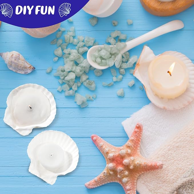 GlikCeil 50 Pcs Sea Shell for Crafting Natural Large Scallop White Oyster - Image 4