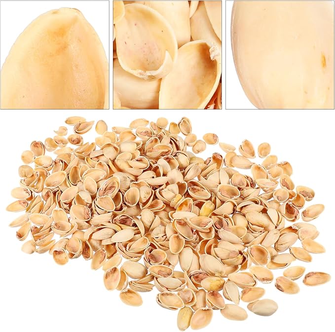 SEWACC Empty Pistachio Shells for DIY Crafts, Natural Handicraft Material for - Image 7