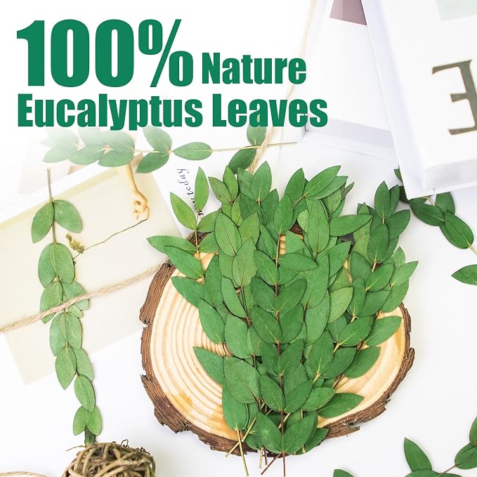 120Pcs Pressed Dried Eucalyptus Leaves - Image 3