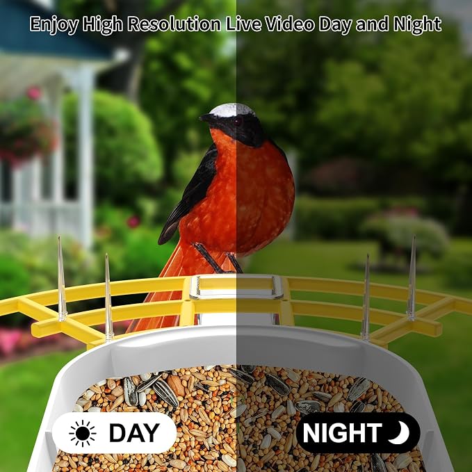 Smart Bird Feeder with Camera, Birds AI Identify, Motion Detection with - Image 5