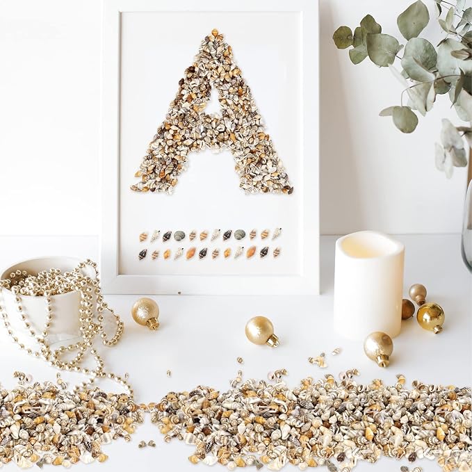 2000 Pcs Tiny Sea Shells for Crafting, Mixed Ocean Beach Mini Seashells Bulk - Image 3