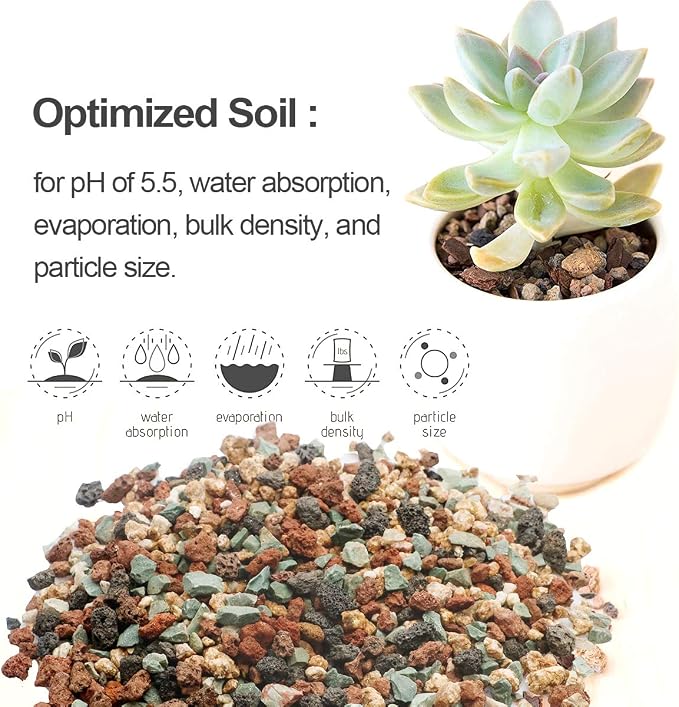 TOYPOPOR Mix Horticultural Lava Rock Pebbles Pumice Potting Soil Amendment - Image 2