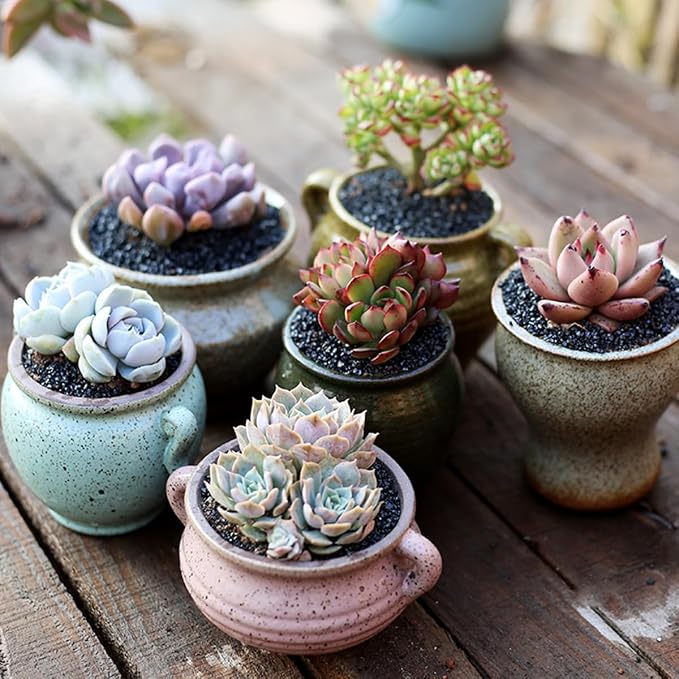 TOYPOPOR 6lb Succulents and Cactus Black Sand, Décor & Additive Tiny Stones - Image 4