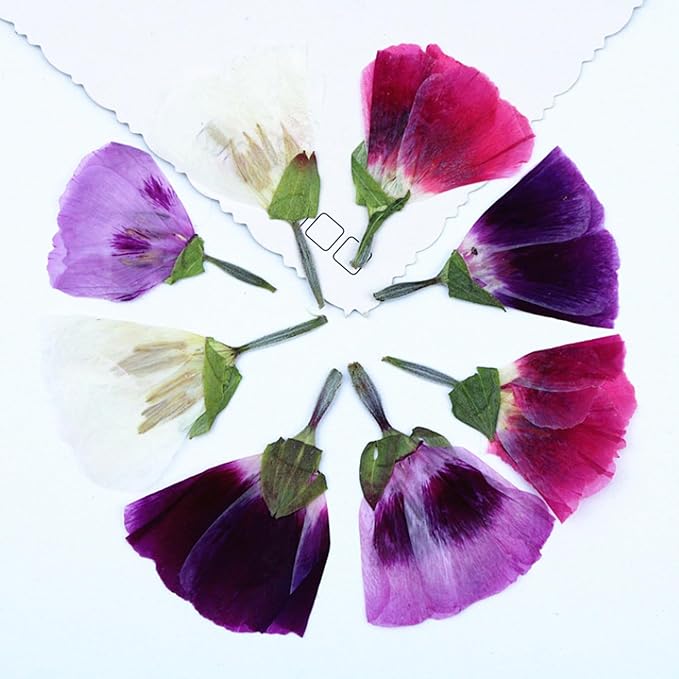 48 Pcs Dried Pressed Flowers for Crafts Art Resin DIY Natural Dry Floral Epoxy - Image 2