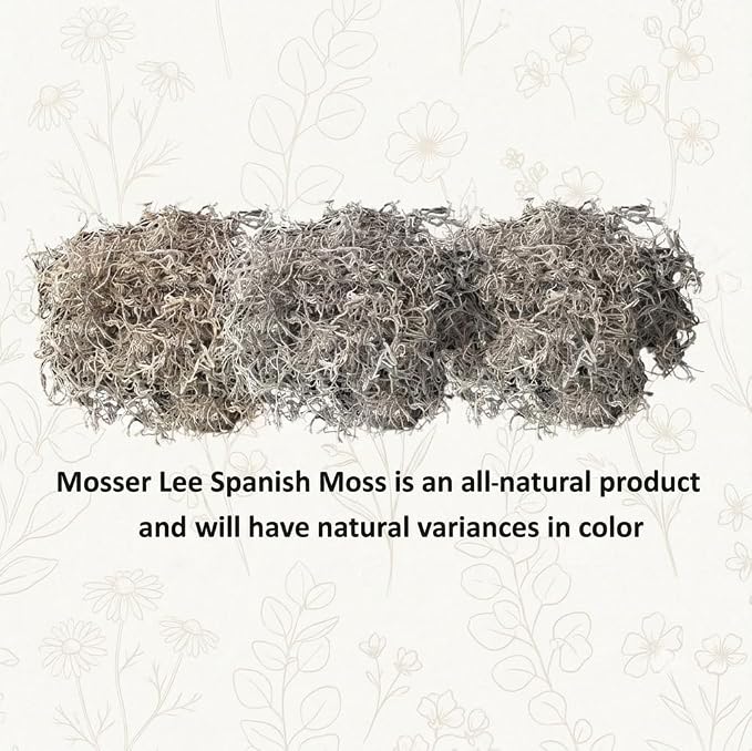 Mosser Lee Spanish Moss – Natural Decorative Moss - Image 2