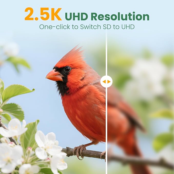 Smart Bird Feeder Camera with Solar Panel, Bamboo | 2.5K UHD, AI Identification - Image 7