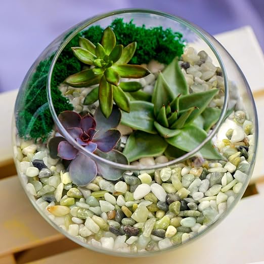 10 lb Jade Pebbles for Indoor Plants, 3/8 Inch Polished Decorative Pebbles for - Image 3