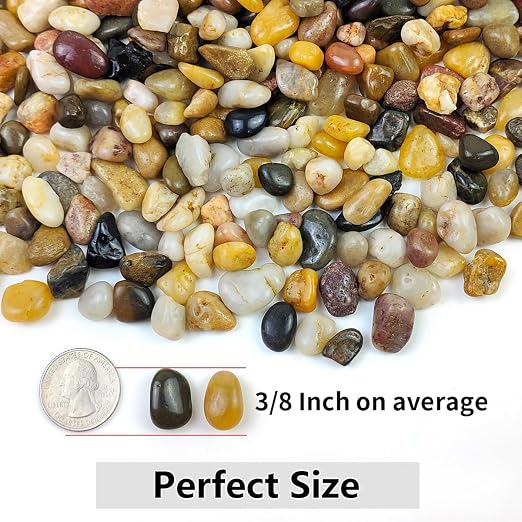 YISZM 10LB Succulent and Cactus Gravel Pebbles, 3/8 Inch Decorative Polished - Image 4