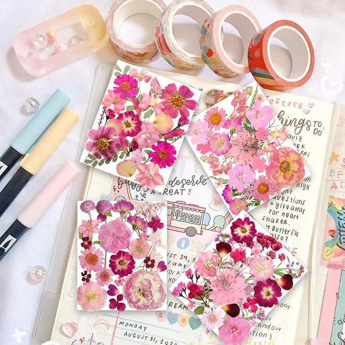 148PCS Pink Dried Pressed Flowers - Image 2