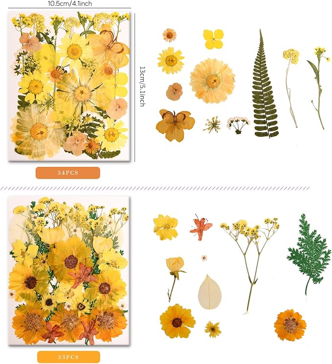 100 PCS Yellow Pressed Dried Flowers and Leaves - Image 3