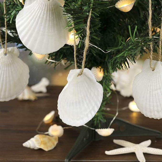 16PCS Natural Sea Shells 2.5"-3.5" Perforation Scallop Shells - Image 2