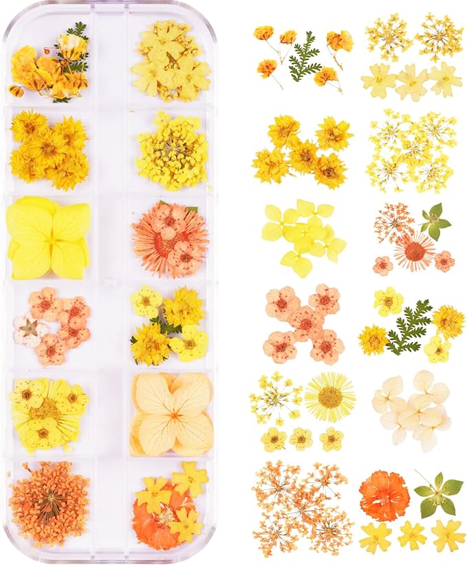 60Pcs Small Dried Pressed Flowers by Unknown