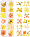 60Pcs Small Dried Pressed Flowers by Unknown