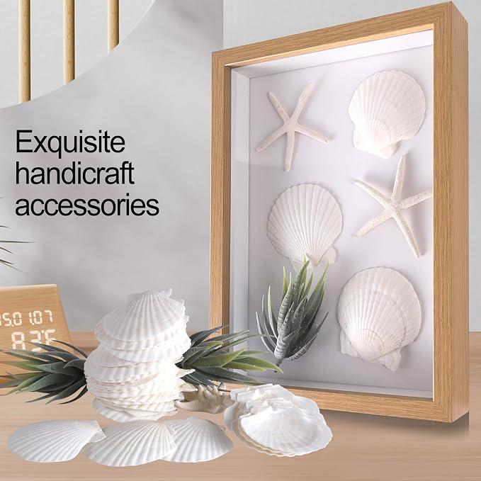 PPCLION 30 PCS 2.5-3 Inch Natural White Scallop Shells Sea Shells - Image 2