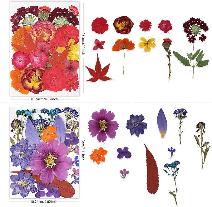 Dried Pressed Flowers - Image 2