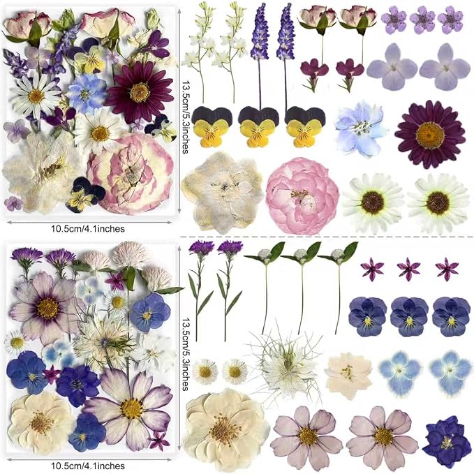 Purple Pressed Flowers 88Pcs Real Natural Dried - Image 2