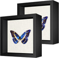2 Packs 8x8 Shadow Box Frame by Califortree