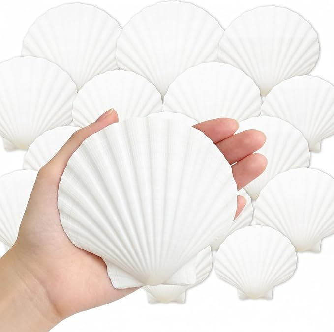 denking 20 PCS Large Scallop Shells 4-5 inch Natural White Seashells by Unknown