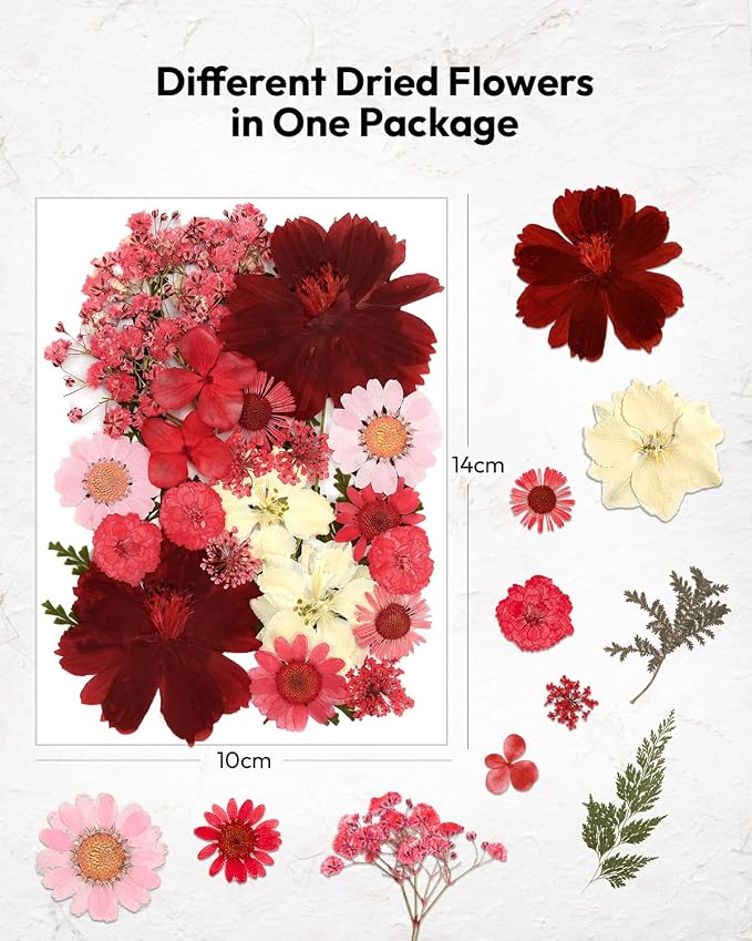 Dried Flowers, Resiners 174Pcs Pressed Flowers - Image 5
