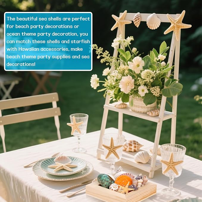 WEOXPR Mixed Seashells & Starfish Decor - Image 3