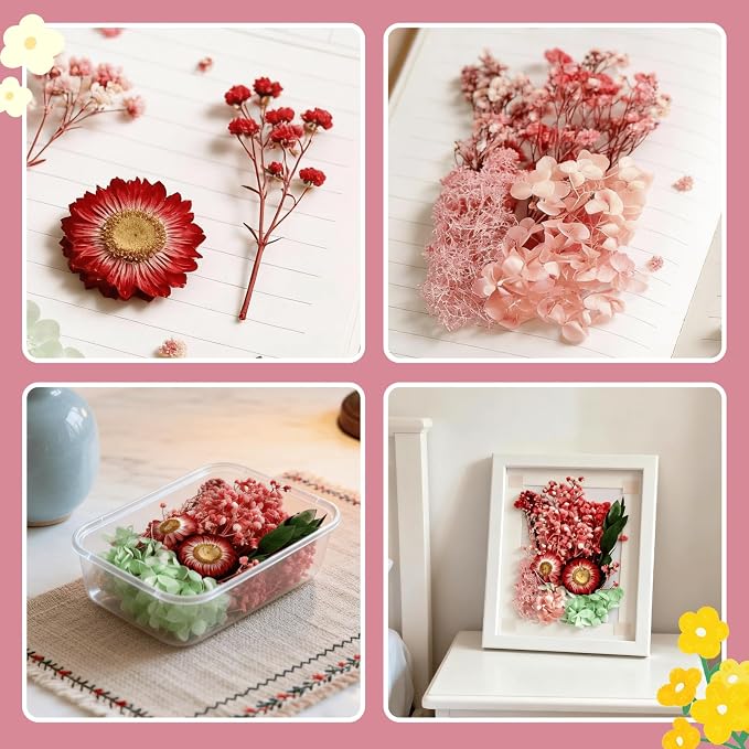 2PCS Dried Flowers Kit, Natural Dried Flowers Kit - Image 4