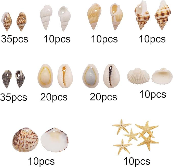 yaokan 10 Styles Natural Sea Shells & Starfish Set - Image 2