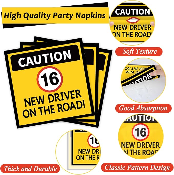 100 Pcs Drivers License 16th Birthday Party Decorations New Driver Car Plates - Image 4