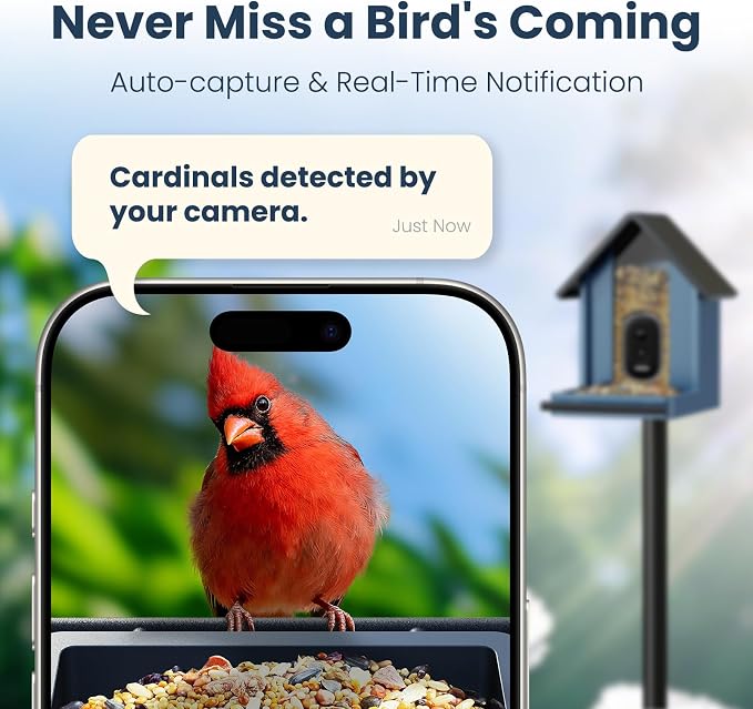 Smart Metal Bird Feeder with Camera, Deep Blue | Squirrel Proof, 2.5K UHD AI - Image 5