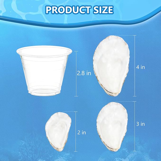 20Pcs Oyster Shells for Crafts 2"-3" Natural Oyster Shells for DIY Crafting - Image 2