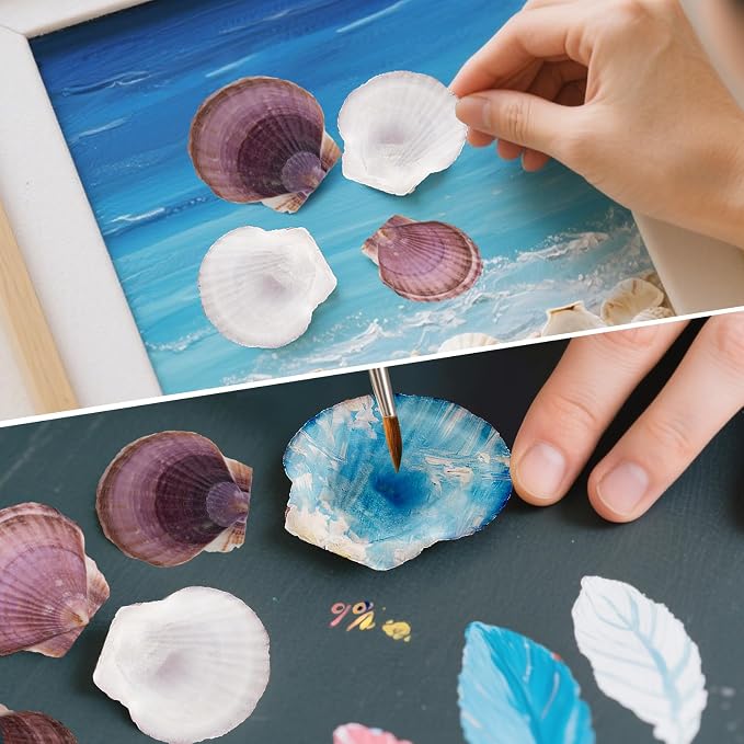 30PCS Natural Scallop Shells Purple Sea Shells, Real Seashells from Beach - Image 5
