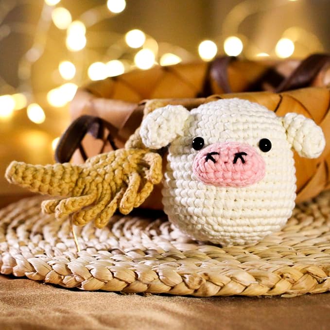 Crochet Kit for Beginners Adults - Image 6
