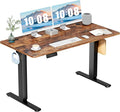 DUMOS 55 Inch Electric Standing Desk Height Adjustable, Sit to Stand Computer by DumosLifestyle