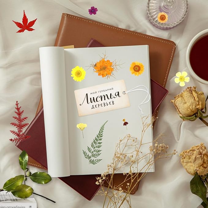 169Pcs Fall Dried Pressed Flowers - Image 6