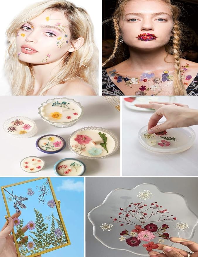 148PCS Pink Dried Pressed Flowers - Image 5