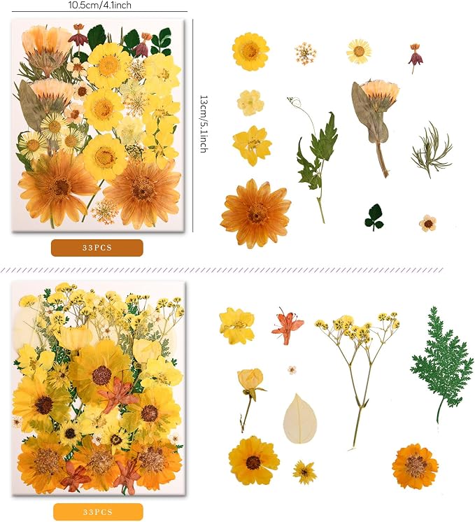 100 PCS Yellow Pressed Dried Flowers and Leaves - Image 2