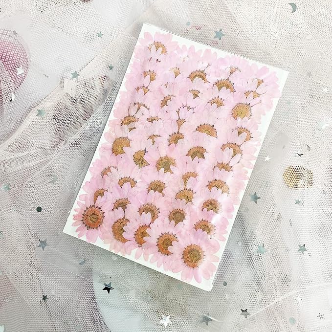 Natural Dried Pink Daisy Flower, Vacuum Packaging, Pressed Flower - Image 5