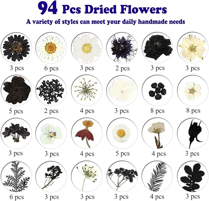 94 Pcs Black Pressed Dried Flowers - Image 5