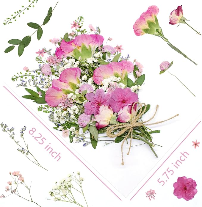 10+ Types Dried Pressed Flowers - Image 2