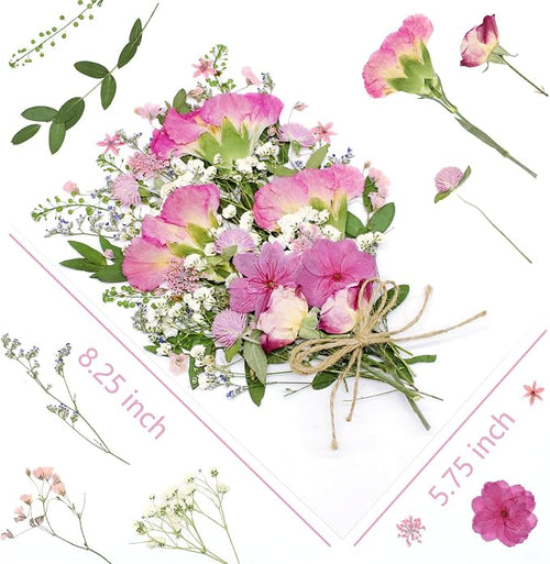 10+ Types Dried Pressed Flowers - Image 2