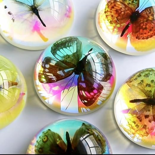 Real Butterfly Specimens, Resin Insect Specimens, Educational Bugs Specimen Set - Image 6