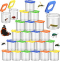 Halloscume 24 Pcs Insect Bug Viewer by Halloscume