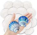 36PCS Natural Scallop Shells for Crafts, 2-3 Inch White Sea Shells for by Unknown
