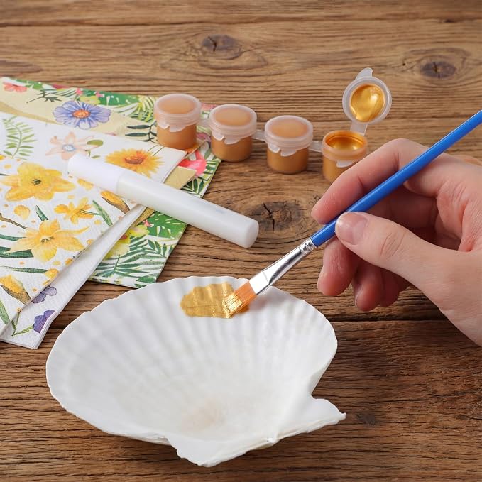 Halloscume 12 Set Scallop Shells - Image 5