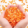 QICQDRAM Crushed Shells for Crafts About 1LB Small Natural Crushed Shells Bulk by QICQDRAM