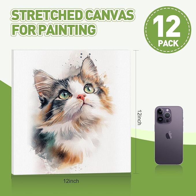 FUMILE Stretched Canvas for Painting 12x12, 12 Pack Square Canvases for - Image 2