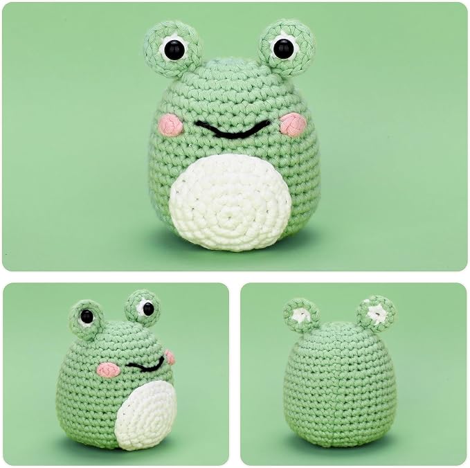 Crochet Kit for Beginners: Frog Crochet Kit for Adults, Learn to Crochet - Image 2
